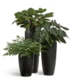 Кашпо TREEZ Effectory — Black Stone — Высокий конус Design — Антрацит