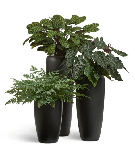 Кашпо TREEZ Effectory — Black Stone — Высокий конус Design — Антрацит