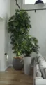 Кашпо TREEZ Effectory — Beton — Высокий конус — Белый песок